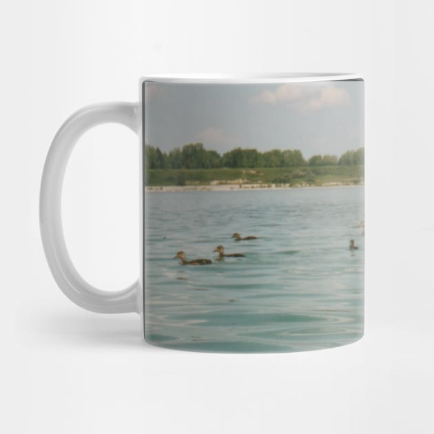 Ducks in a lake by HFGJewels